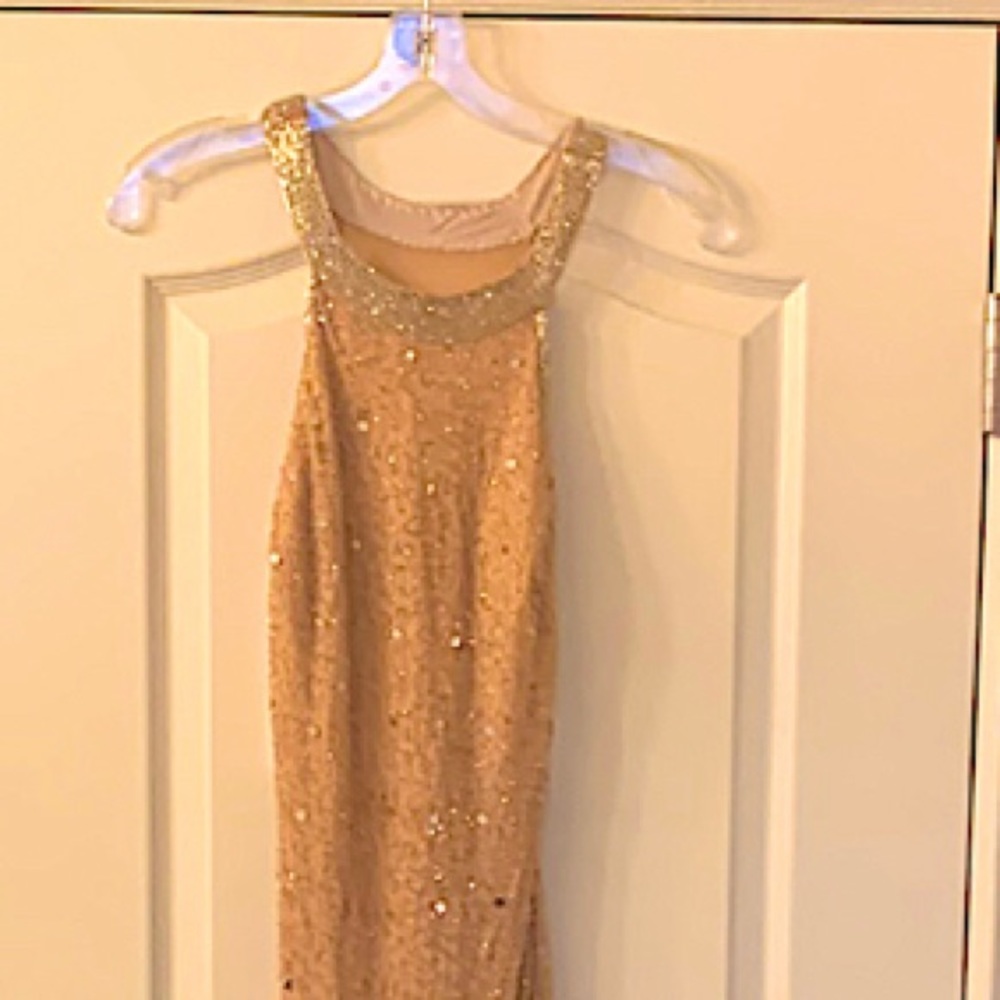 Andrianna Papell blush/silver tone fitted evening gown Size 6-fits snug  I’m a 0